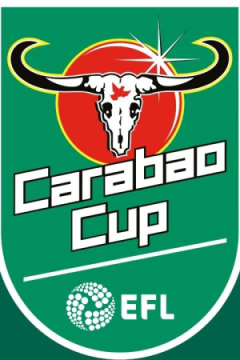 Сериал Ньюкасл Юнайтед &mdash; Тоттенхэм